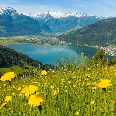 Maja By Krone Travel Agency *